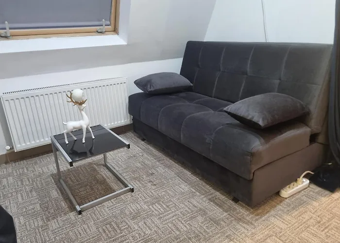 Apartman Garsoniera Luxury 2